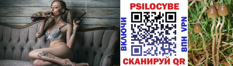 Галлюциногенные грибы мухоморы  Георгиевск 